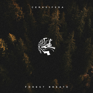 ▇▇▇▇ 怎么读
