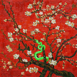 ▇▇▇▇ 怎么读
